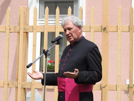 Slavnostno zasadili cepljenko najstarejše vinske trte na svetu 32